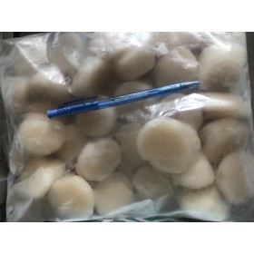 Frozen Hokkaido Scallops 1kg±/box  (RM 110)