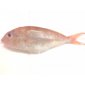 Threadfin Bream | Kerisi (5± fish/Kg)